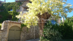 vente Demeure de ville et village Uzes