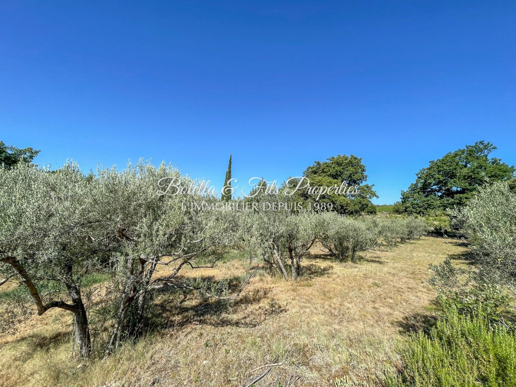 vente Maison contemporaine Goudargues