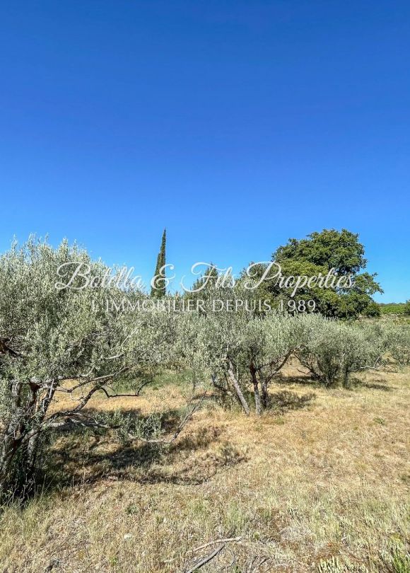 vente Maison contemporaine Goudargues