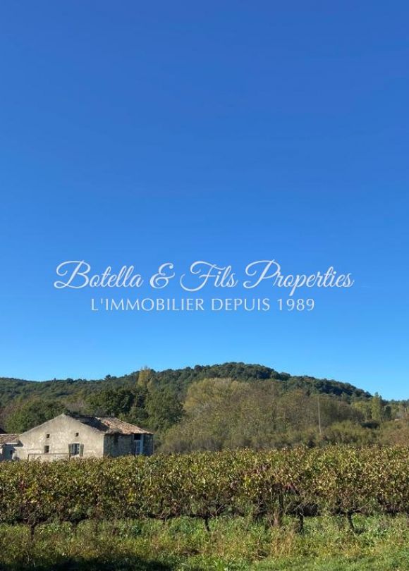 vente Demeure de ville et village Aigueze