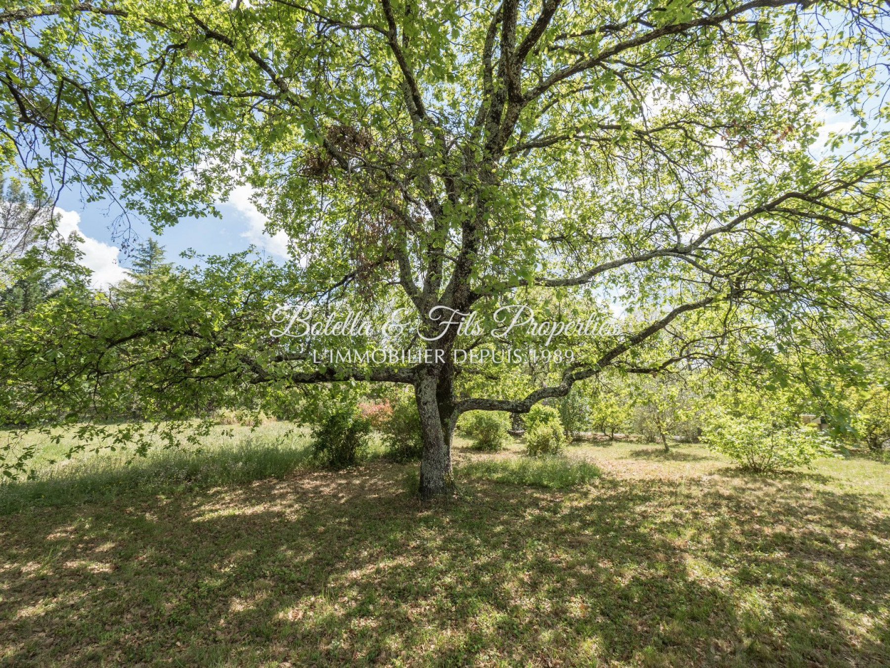 sale Maison contemporaine Barjac