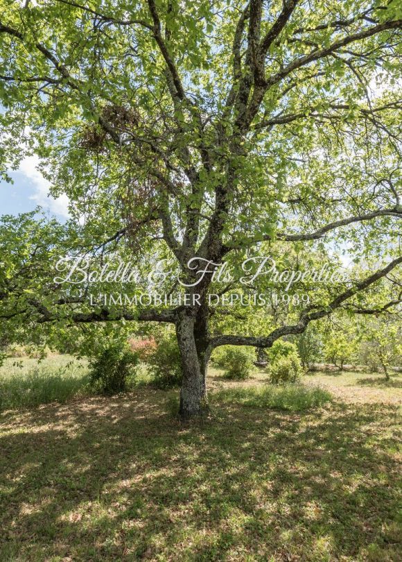 vente Maison contemporaine Barjac