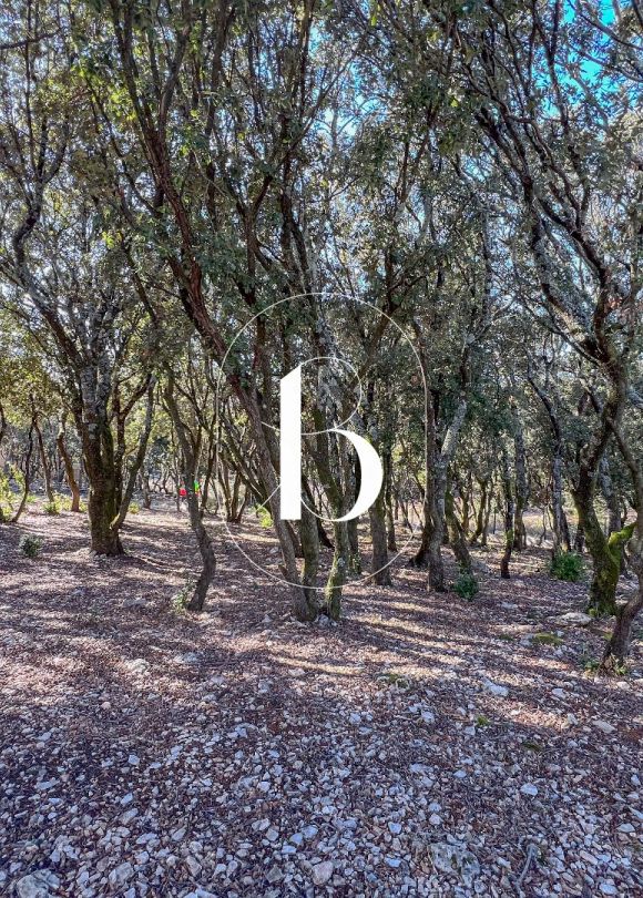 vente Maison contemporaine Barjac