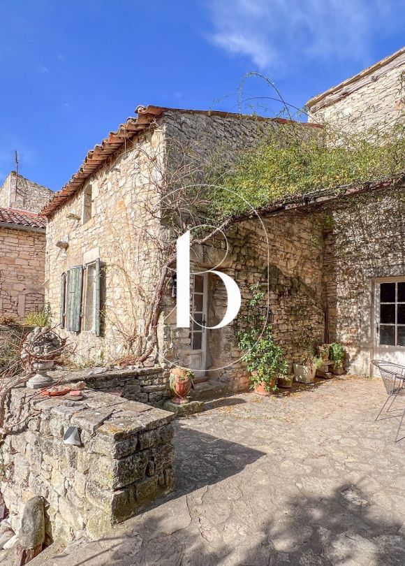sale Demeure de ville et village Barjac