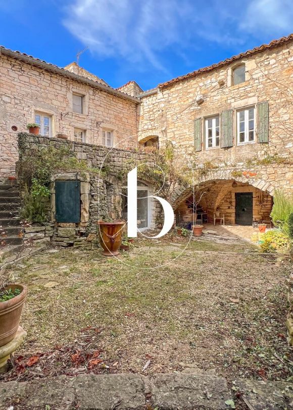 sale Demeure de ville et village Barjac
