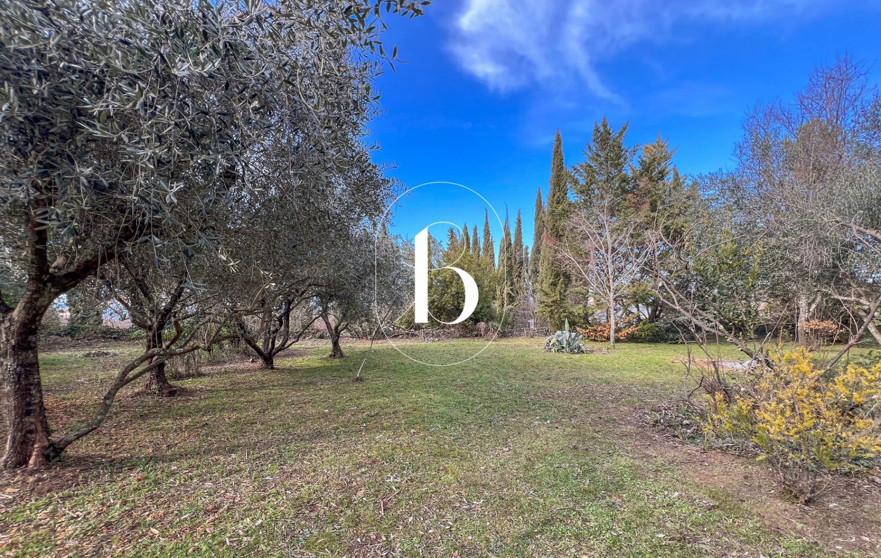 vente Demeure de ville et village Barjac