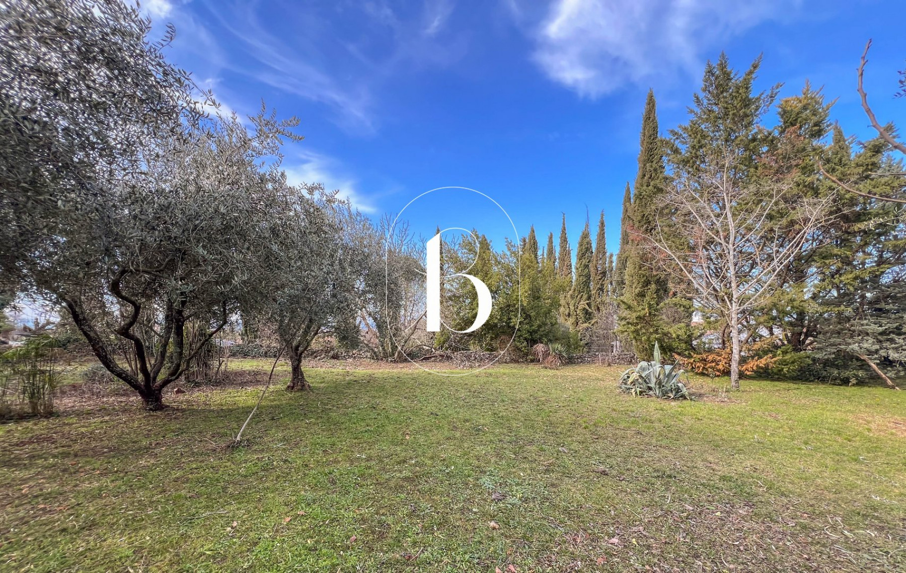 vente Demeure de ville et village Barjac