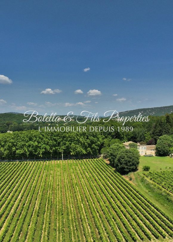 vente Château Cornillon