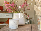 sale Demeure Uzes