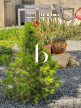 sale Villa Saint Julien De Peyrolas