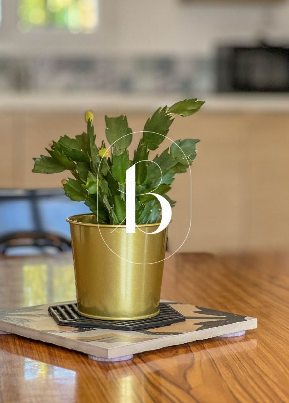 vente Villa Saint Julien De Peyrolas