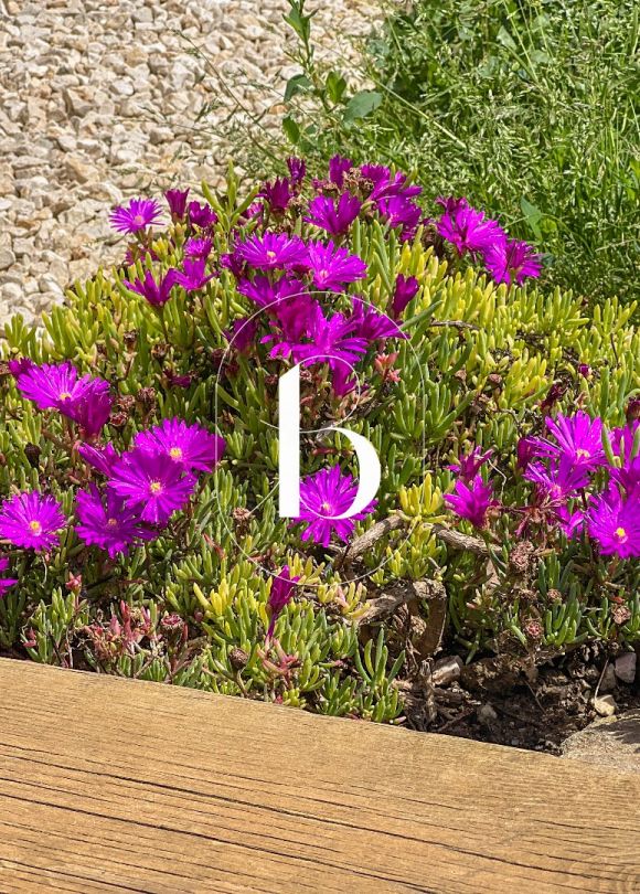 vente Villa Saint Julien De Peyrolas