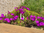 sale Villa Saint Julien De Peyrolas
