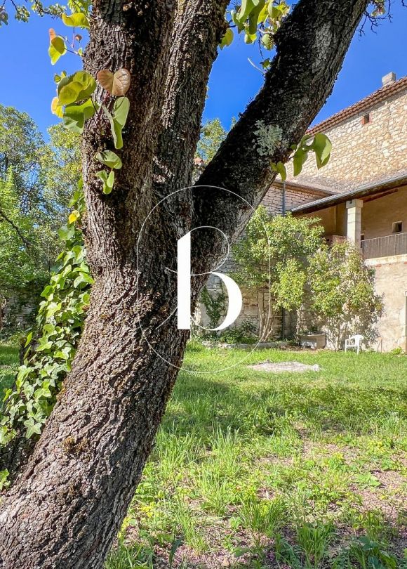 vente Demeure de ville et village Barjac
