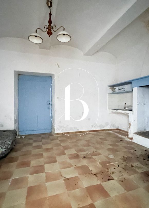 vente Demeure de ville et village Barjac