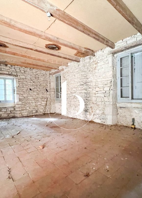 vente Demeure de ville et village Barjac