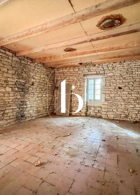 vente Demeure de ville et village Barjac