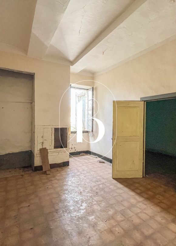 vente Demeure de ville et village Barjac