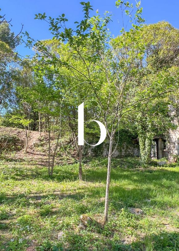 vente Demeure de ville et village Barjac