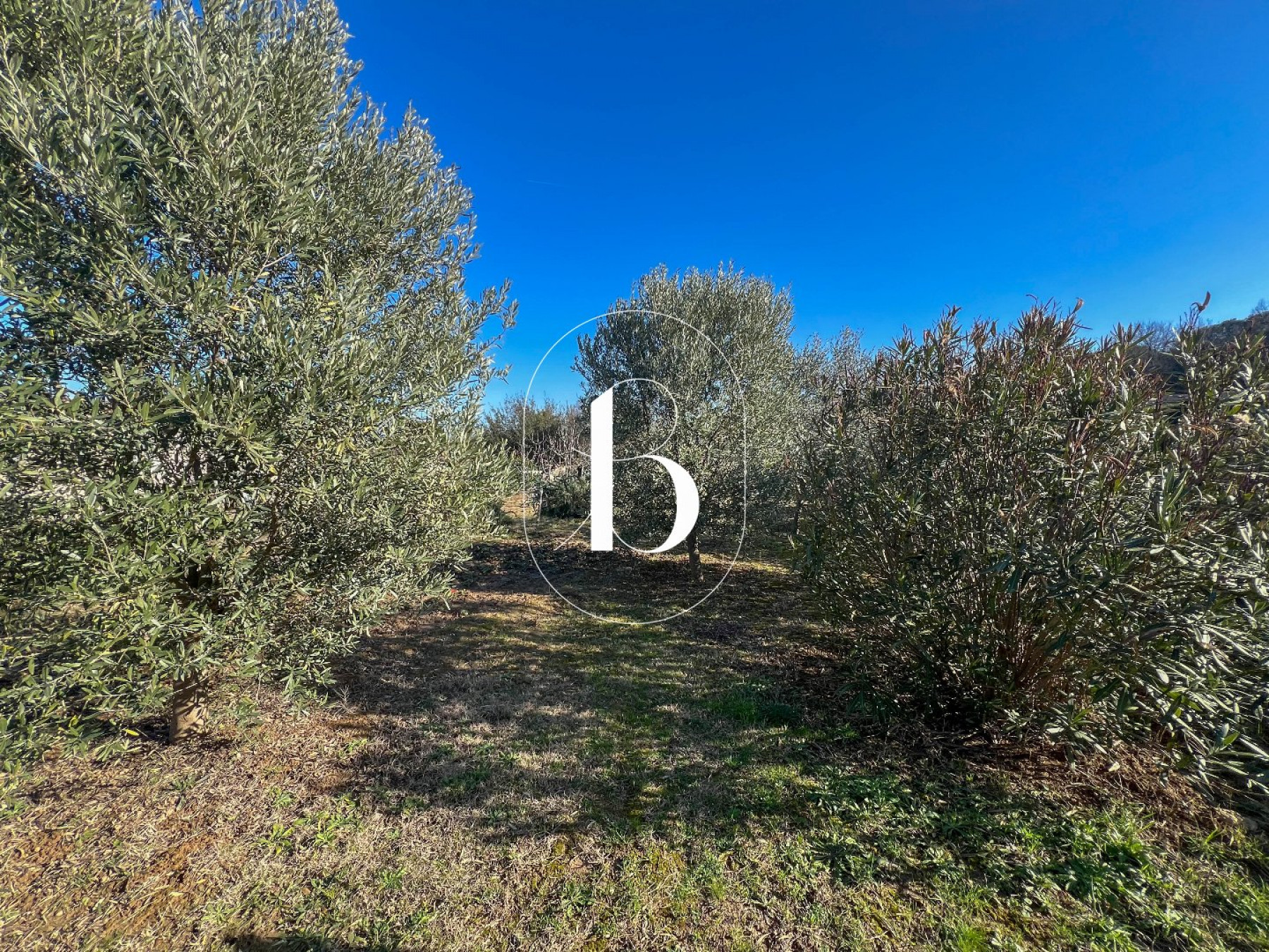sale Villa Uzes