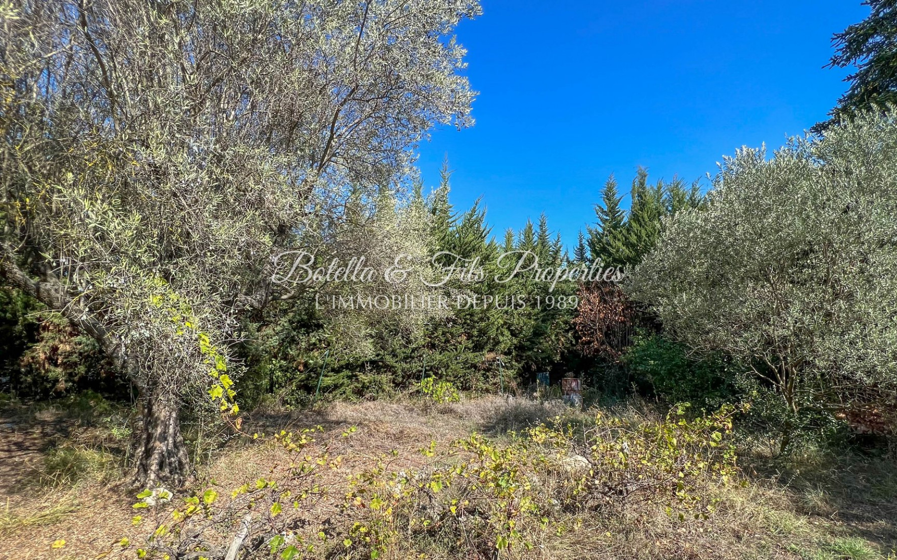 vente Maison de village Goudargues