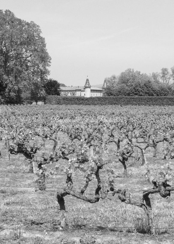 vente Château Uzes