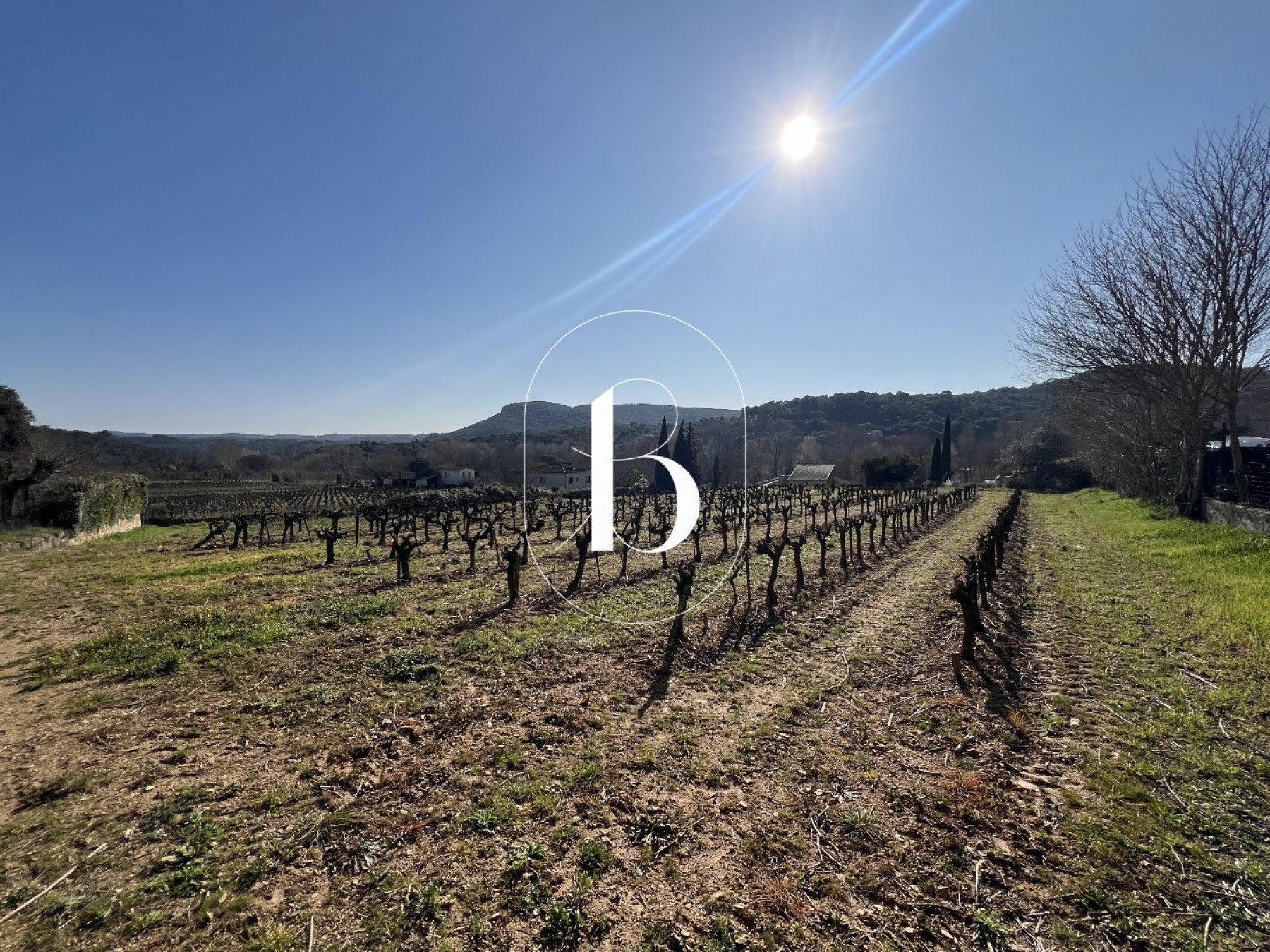 vente Terrain La Roque Sur Ceze