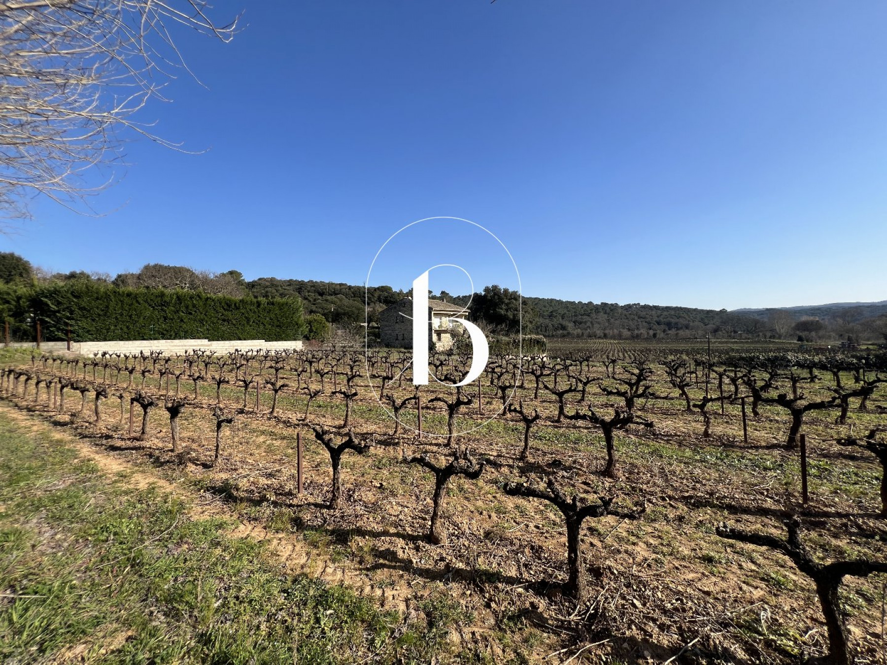 vente Terrain La Roque Sur Ceze