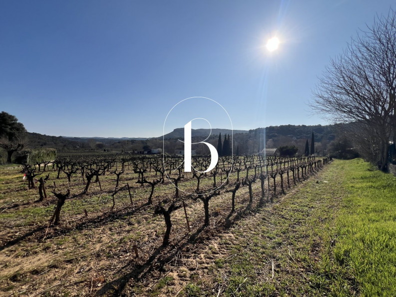 vente Terrain La Roque Sur Ceze - Photo 3