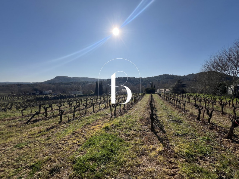 vente Terrain La Roque Sur Ceze - Photo 6