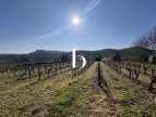 vente Terrain La Roque Sur Ceze