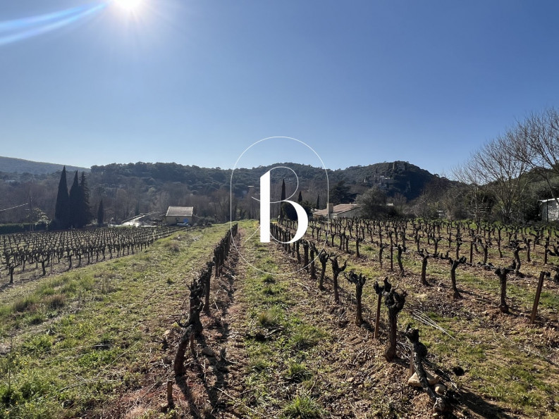 vente Terrain La Roque Sur Ceze - Photo 8