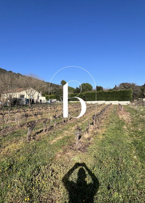 vente Terrain constructible La Roque Sur Ceze