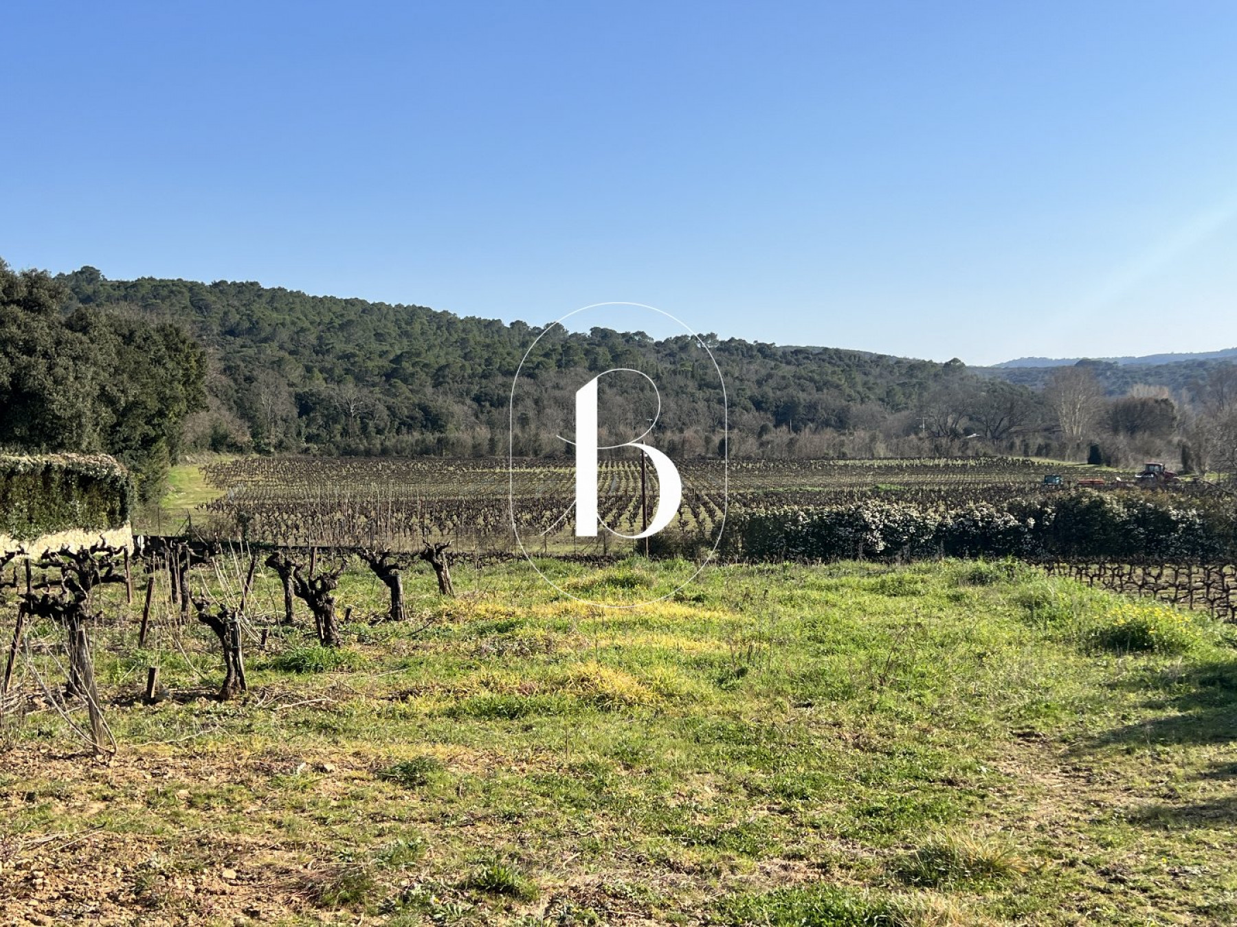 vente Terrain La Roque Sur Ceze