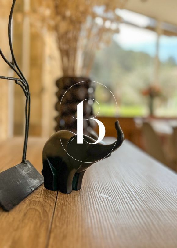 vente Mas Goudargues