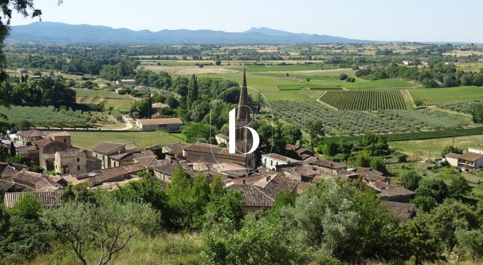 vente Maison de village Saint Sauveur De Cruzieres - Photo 1