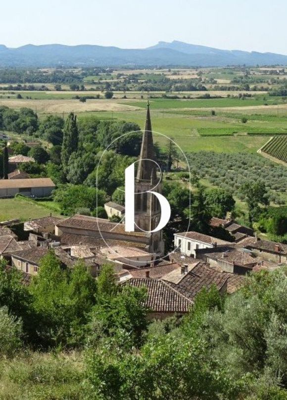 vente Maison de village Saint Sauveur De Cruzieres