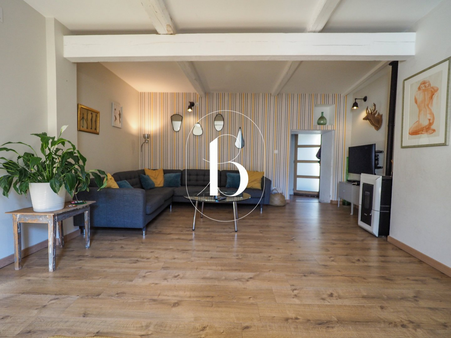 vente Maison de village Venejan