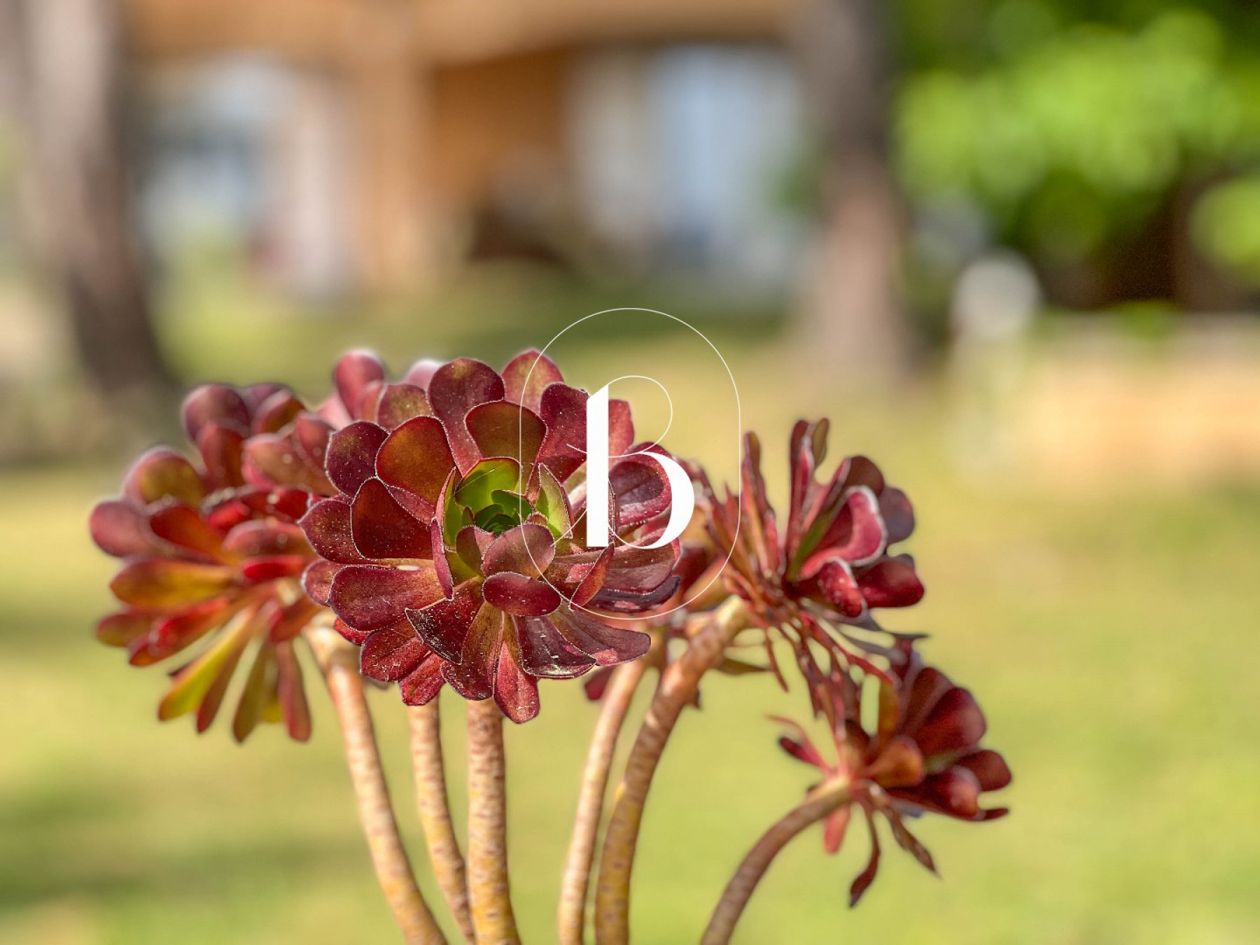vente Villa Goudargues