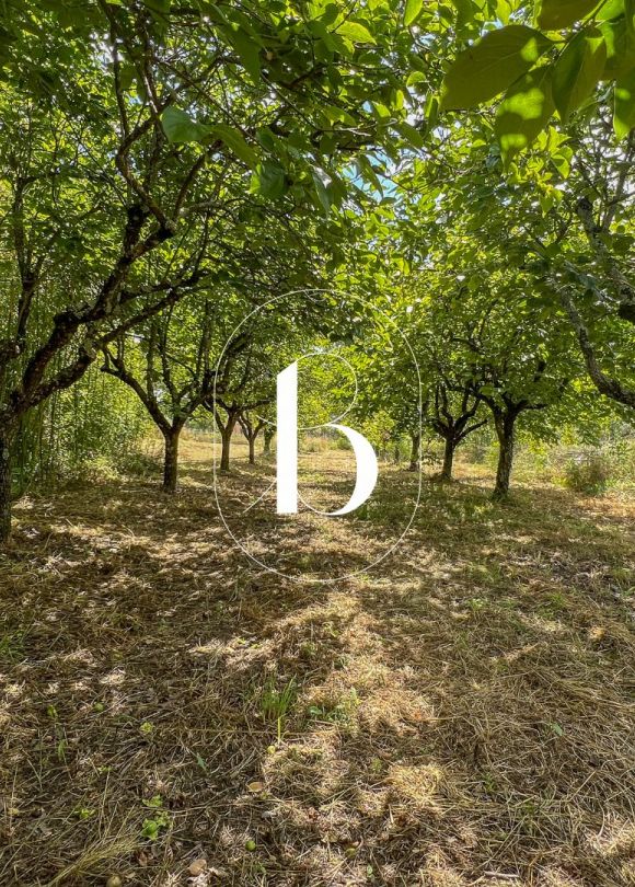 sale Mas Vallon Pont D'arc