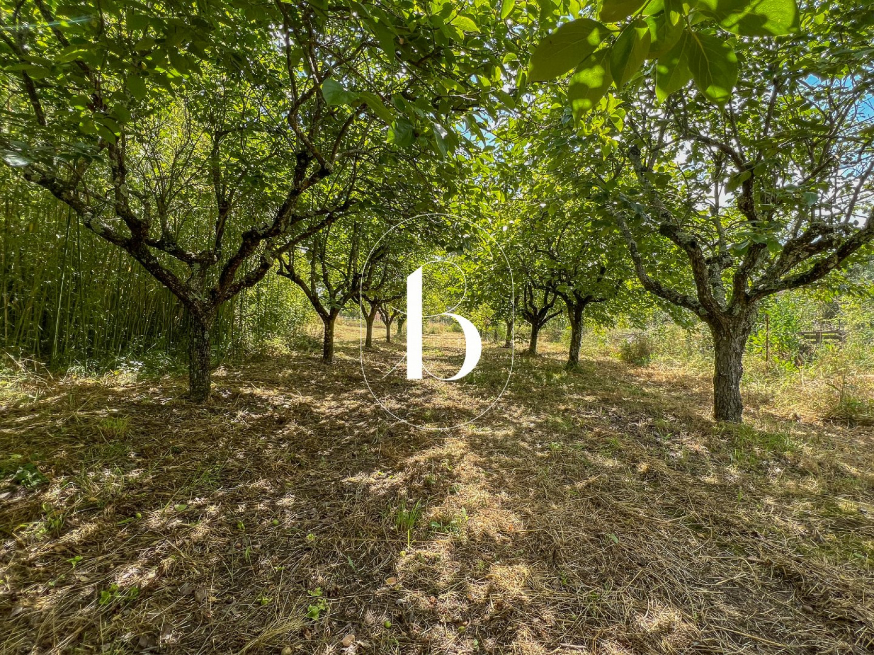 vente Mas Vallon Pont D'arc