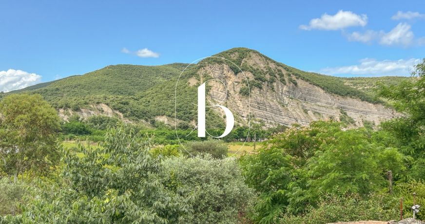 vente Mas Vallon Pont D'arc