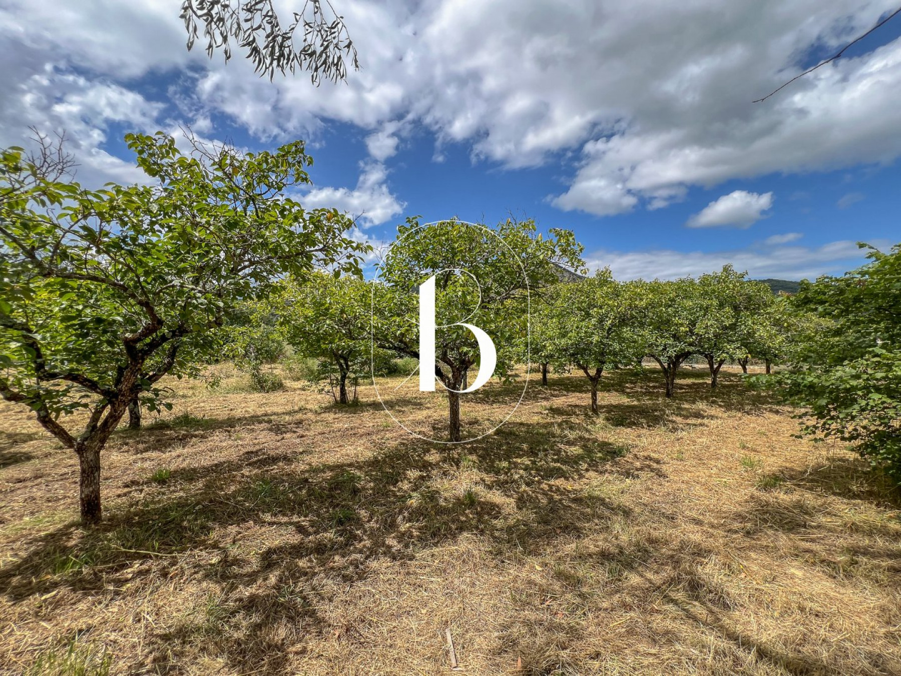vente Mas Vallon Pont D'arc