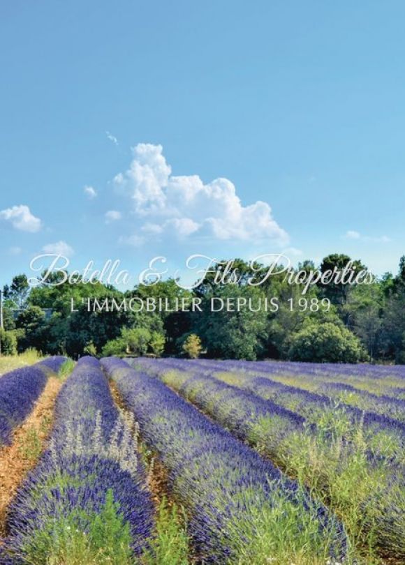 vente Mas Pont Saint Esprit