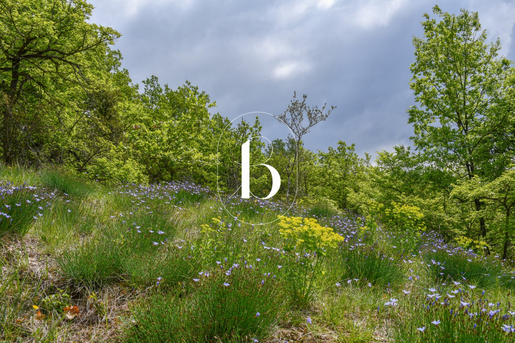 vente Villa Barjac