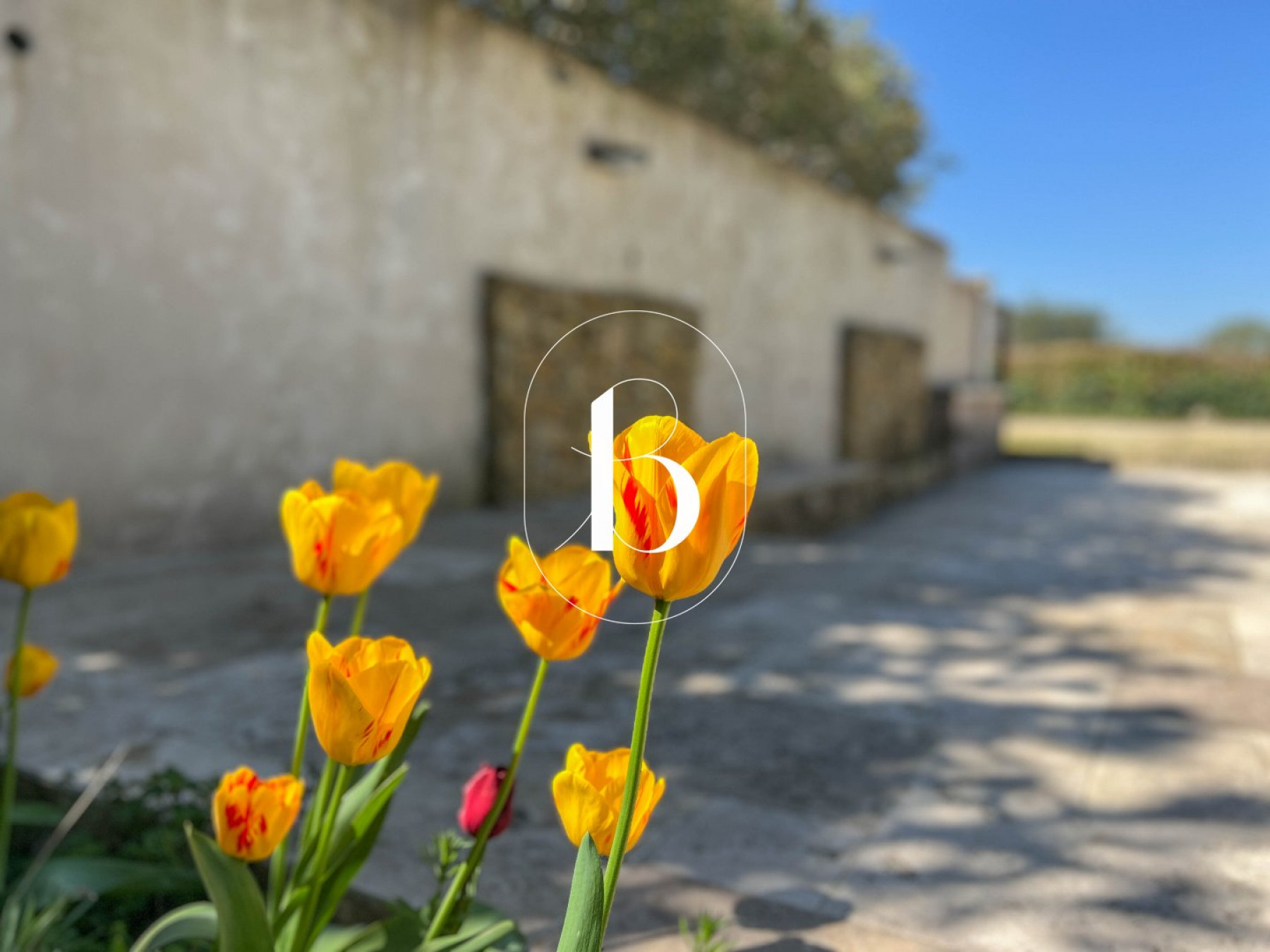 sale Villa Goudargues