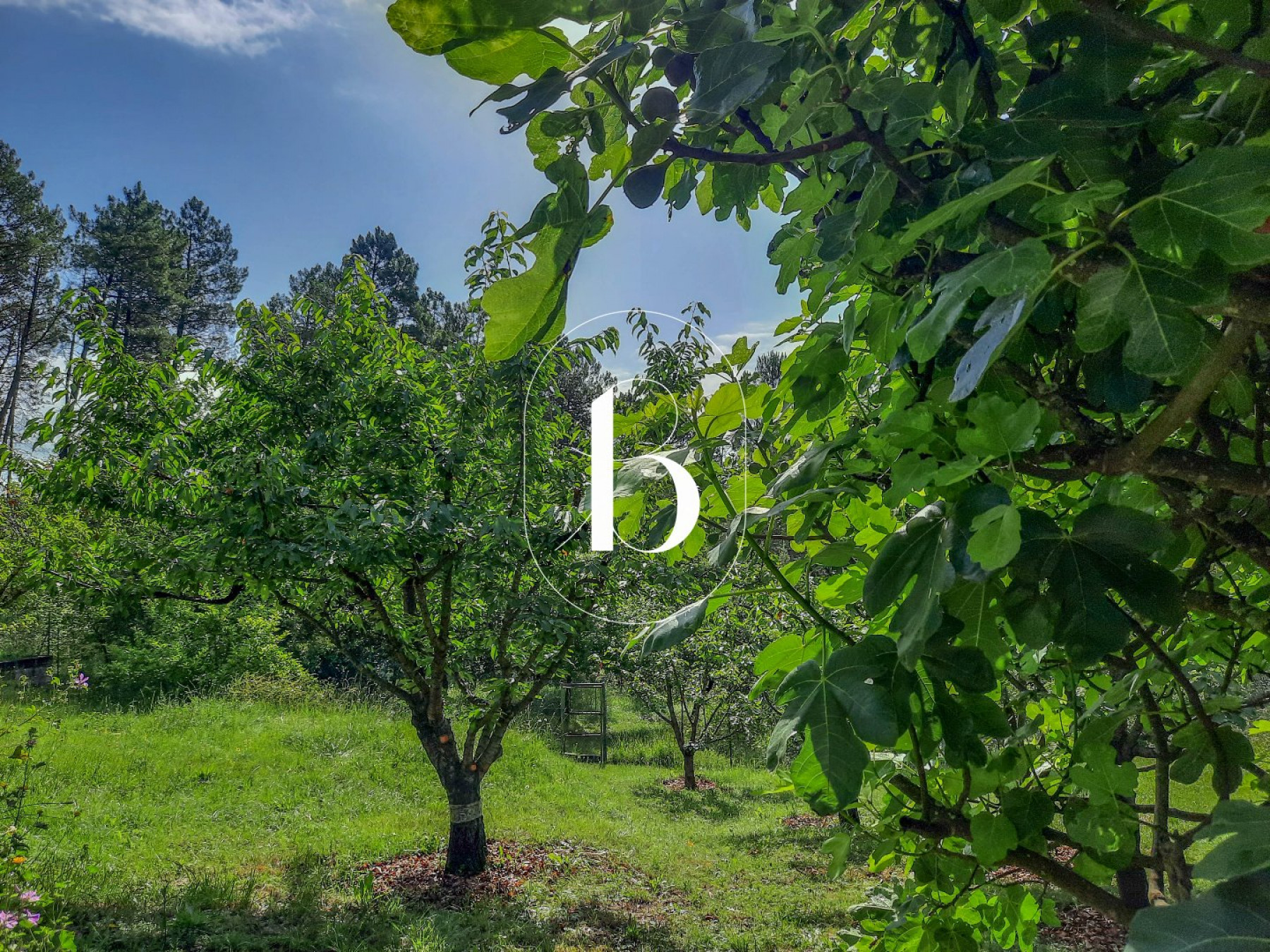 vente Maison contemporaine Barjac