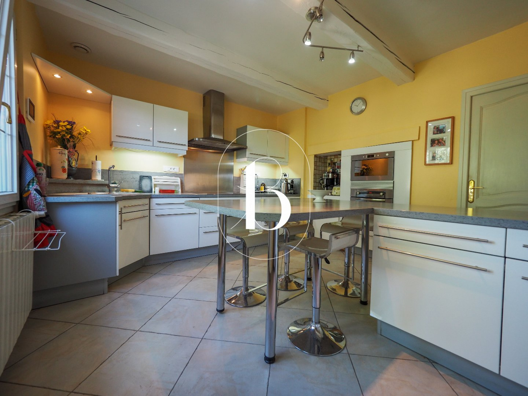 vente Villa Saint Alexandre