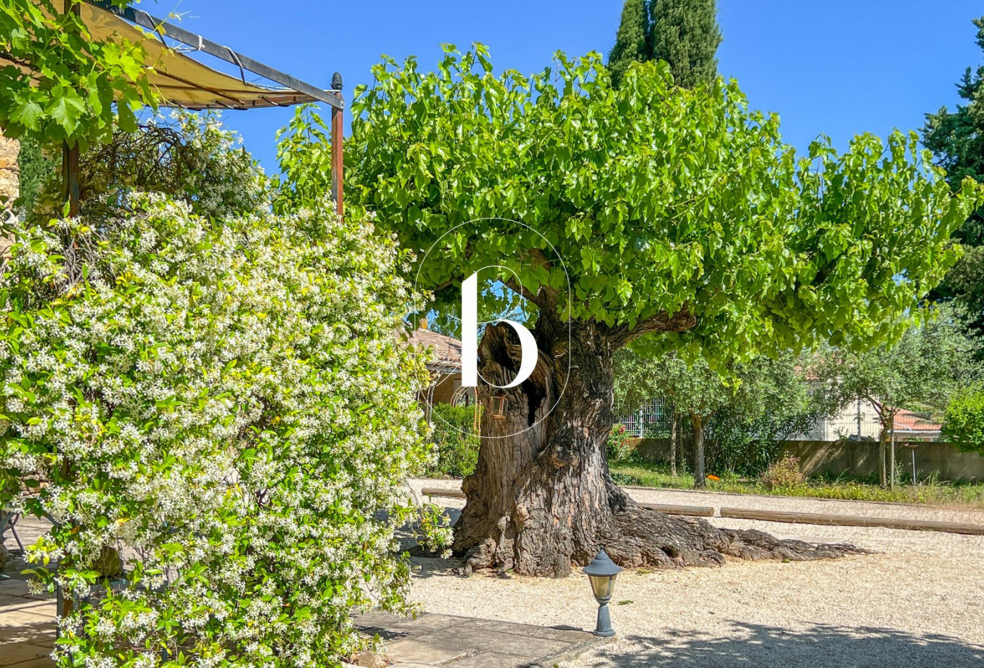 vente Mas Goudargues - Photo 9