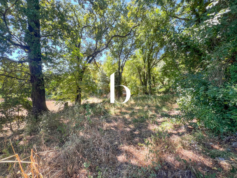 vente Mas Cornillon - Photo 8